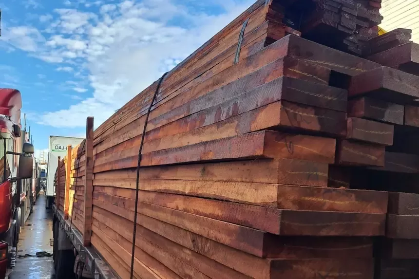 Fiscalização da Base Antônio Lemos apreende mais de 24 metros cúbicos de madeira irregular